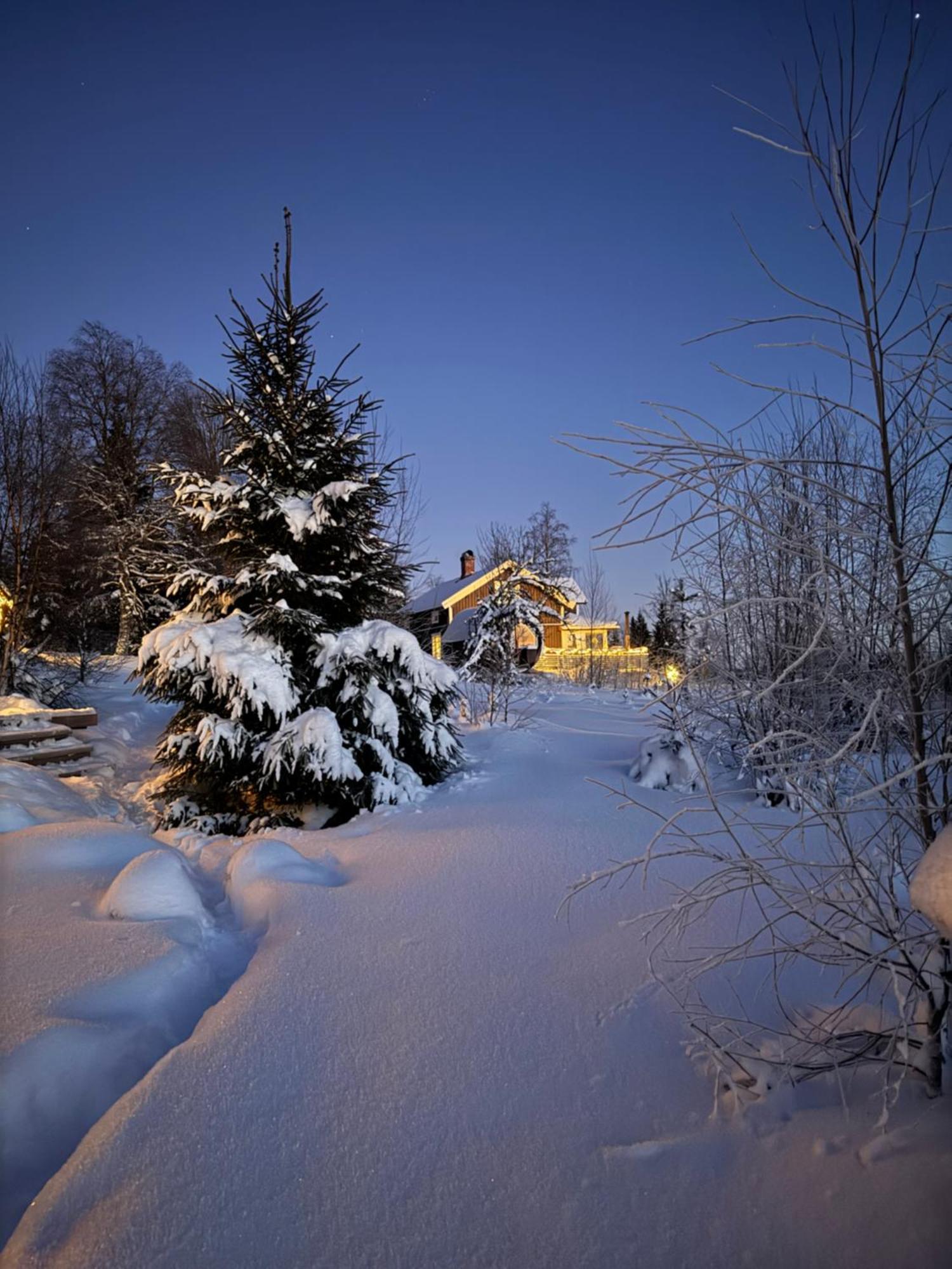 Cozy Forest Cabin With Amazing Mountain View Torsby Luaran gambar