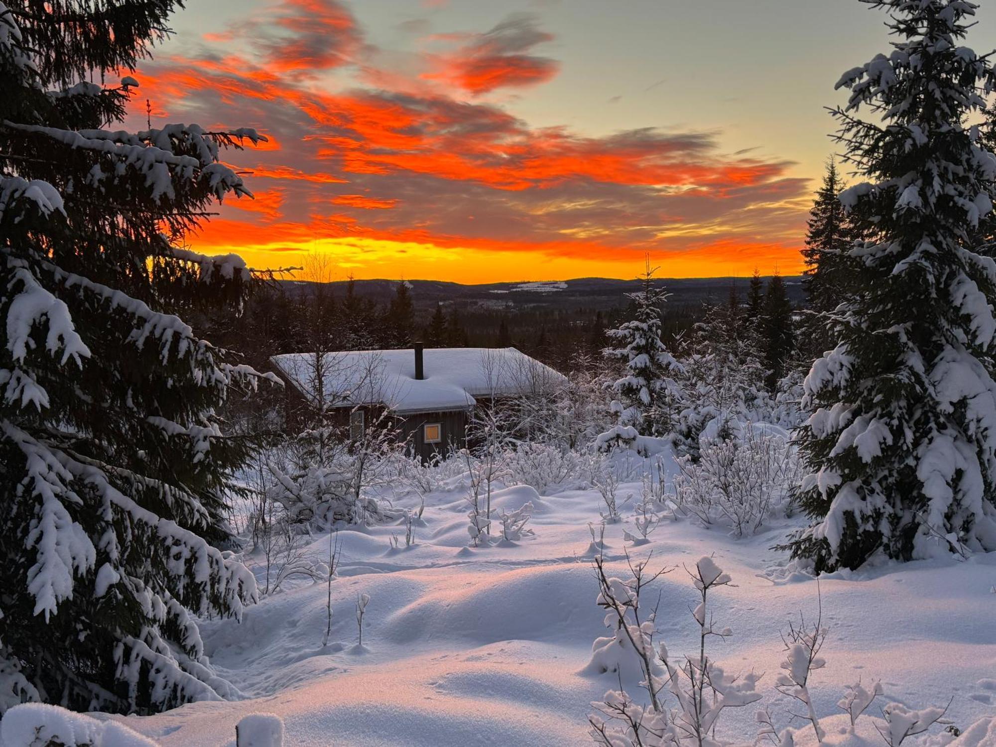 Cozy Forest Cabin With Amazing Mountain View Torsby Luaran gambar