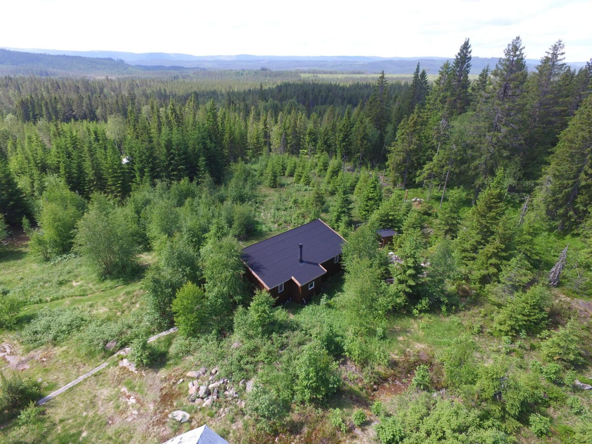 Cozy Forest Cabin With Amazing Mountain View Torsby Luaran gambar