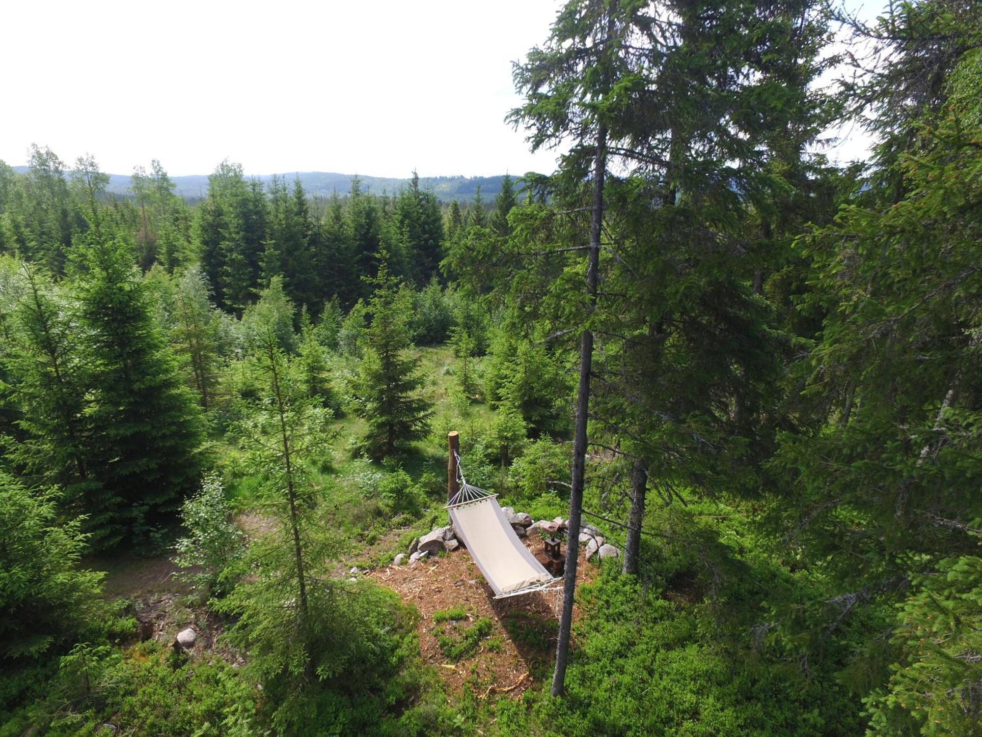 Cozy Forest Cabin With Amazing Mountain View Torsby Luaran gambar